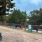 Dog Park with Seating